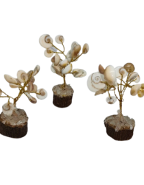 Gomati Chakra Tree