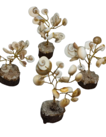 Gomati Chakra Tree