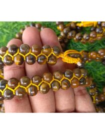 Tiger eye double Bracelet