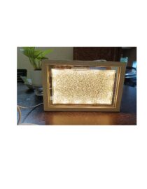 Pyrite Dust Plate with light