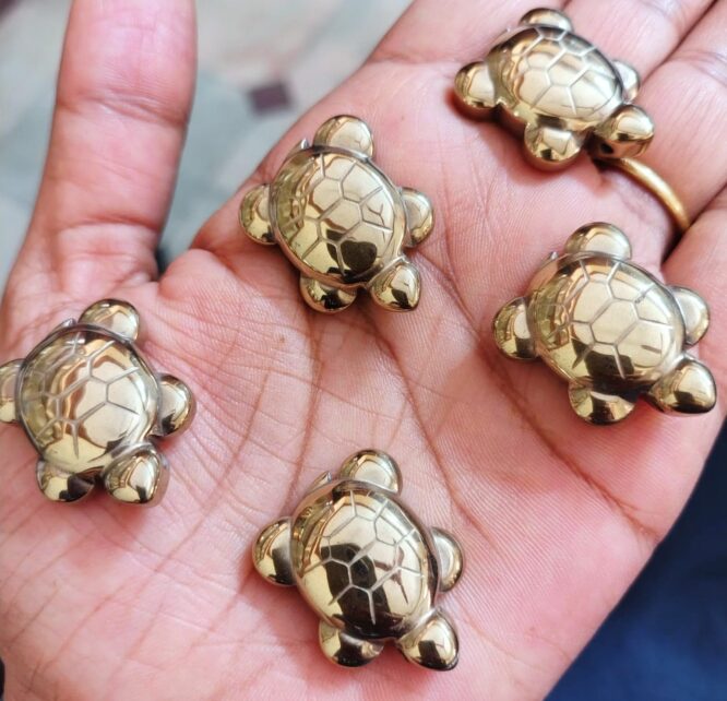 Pyrite Tortoise