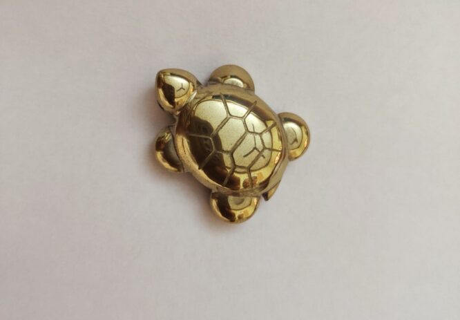 Pyrite Tortoise